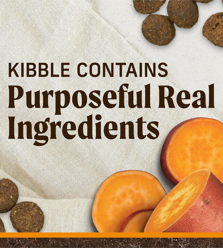 Grain Free with Real Meat + Sweet Potato Dry Dog Food